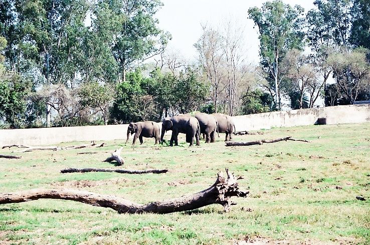 3. ChattBir Zoo